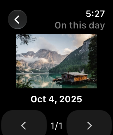 Ritrova questo giorno — Sfoglia “Accadde oggi” e le foto recenti. Ruota la Digital Crown o tocca per passare tra piccole anteprime che mostrano l’intera foto.